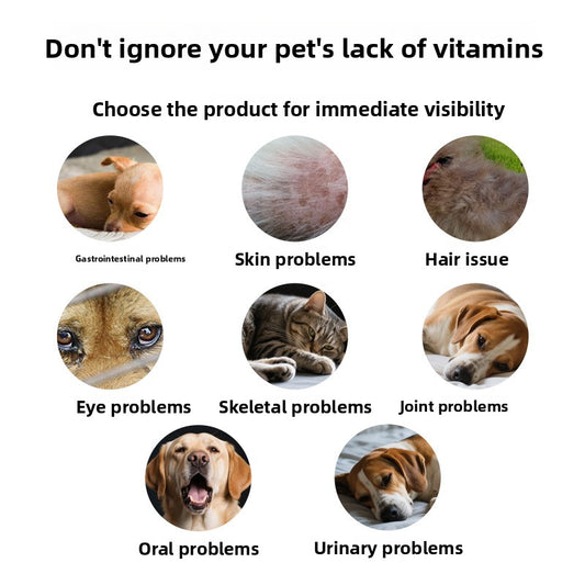 Dog Multivitamin Soft Chews with Glucosamine