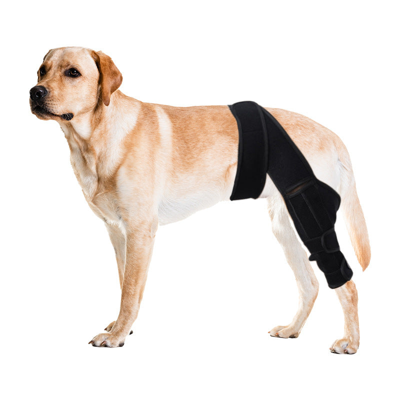 Dog Knee Support Pads