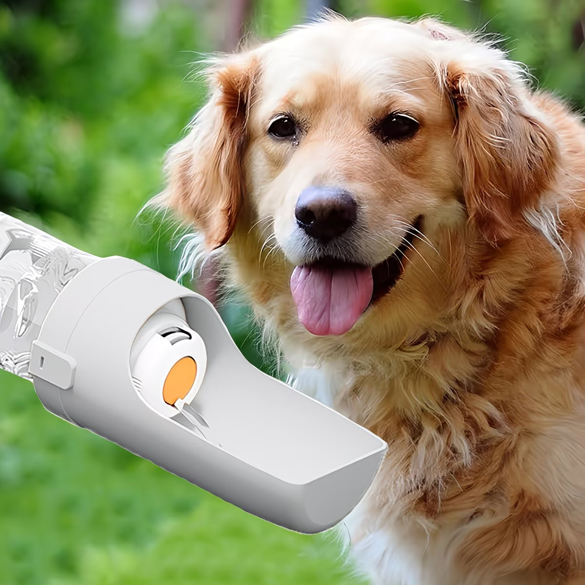 Vita Paws Portable Dog Water Bottle Leak-Proof Pet Water Dispenser for Walks, Travel & Outdoor Adventures