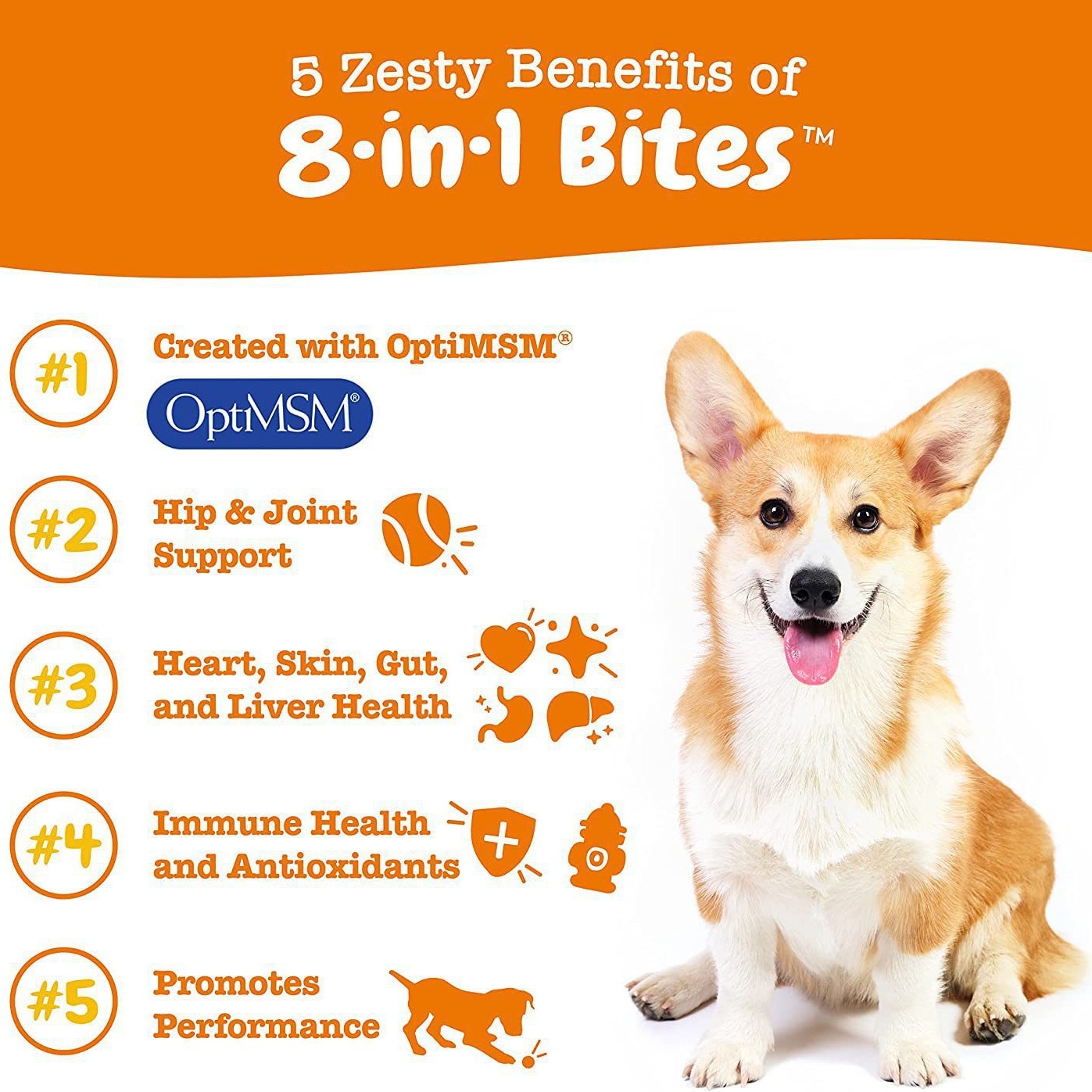 pet vitamin granules
