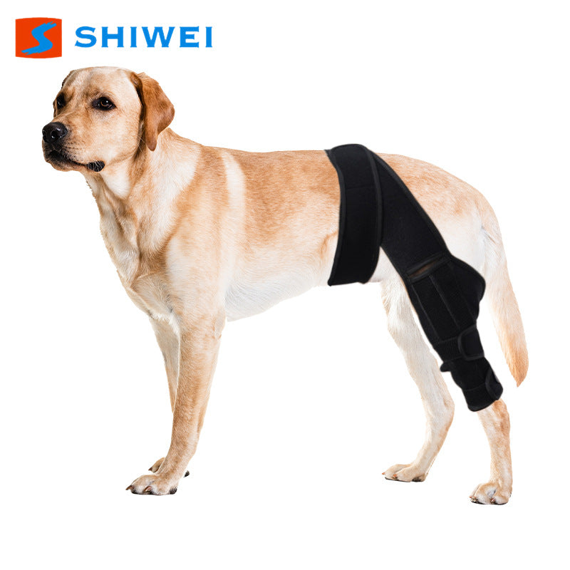 Dog Knee Support Pads
