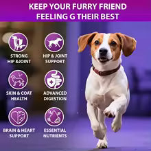 Dog Multivitamin - Promotes Digestive and Joint Health, Reduces Allergies and Hair Loss, Promotes Healthy Skin and Coat