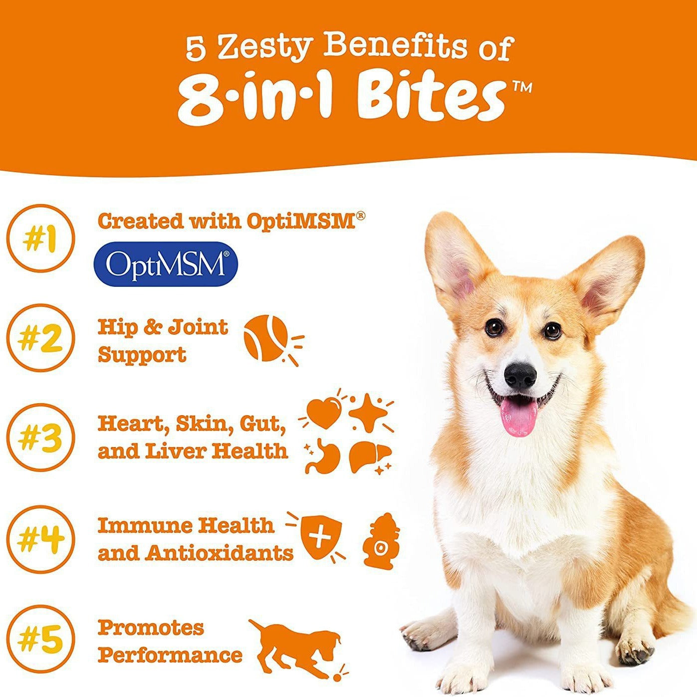 pet vitamin granules