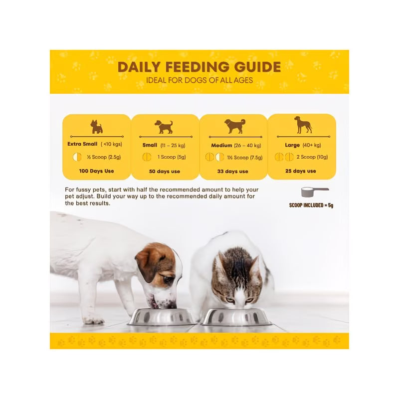 Vita Paws Premium Joint Support Powder for Dogs Advanced Glucosamine & MSM Formula – 250g
