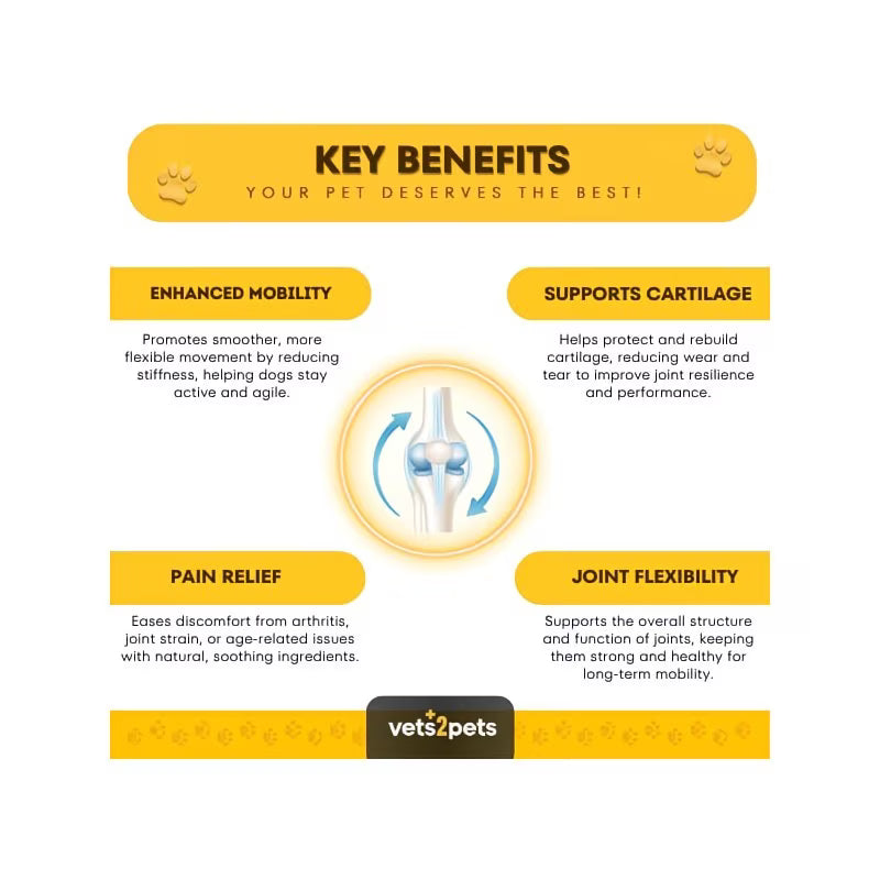Vita Paws Premium Joint Support Powder for Dogs Advanced Glucosamine & MSM Formula – 250g